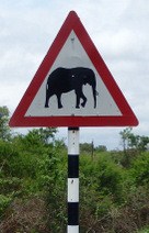 Elephant Crossing Sign, Near Kruger NP, South Africa.